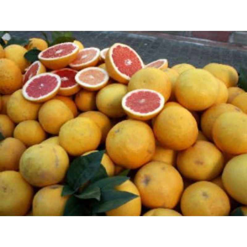 Organik Greyfrut  1 kg