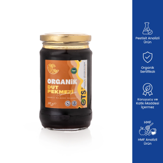 OTS Organik Dut Pekmezi 380g