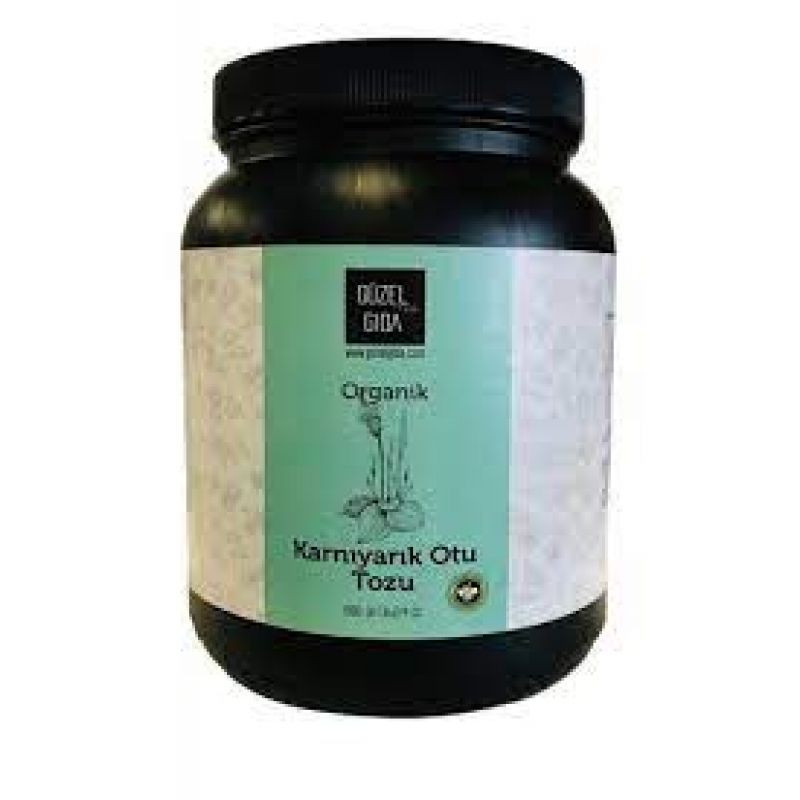 GÜZEL GIDA Organik Psyllium (Karnıyarık otu ) Tozu Ekonomik Paket 1000 gr