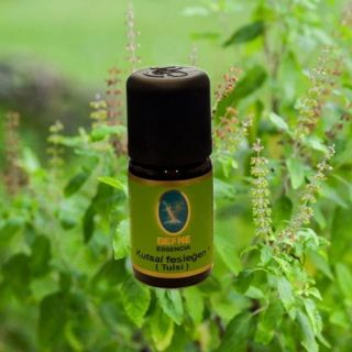 Nuka  Kutsal Fesleğen-Tulsi *-Organik   5 Ml- 10 ml