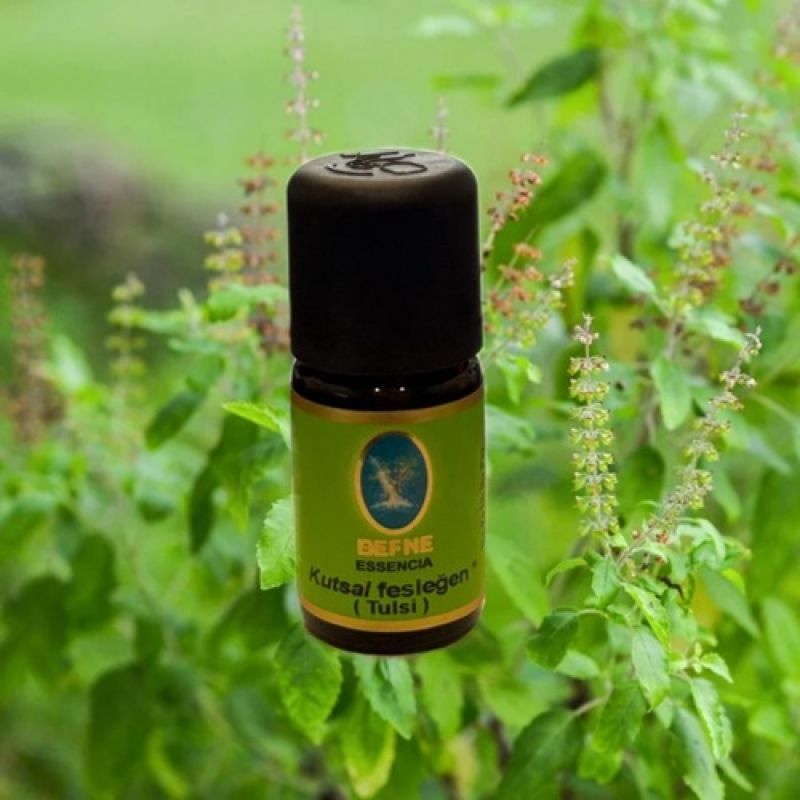 Nuka  Kutsal Fesleğen-Tulsi *-Organik   5 Ml- 10 ml