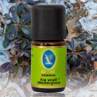 Nuka Kışyeşili ( Wintergrün-Wintergreen  ) Yağı (Organik- Nepal) 5 Ml-10 ML